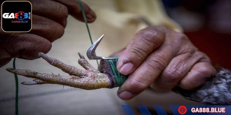 Đặt vị trí chuẩn xác để có được sự hiệu quả