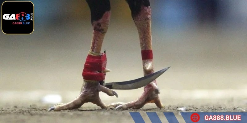 Luôn lưu ý các chi tiết để thao tác nhanh