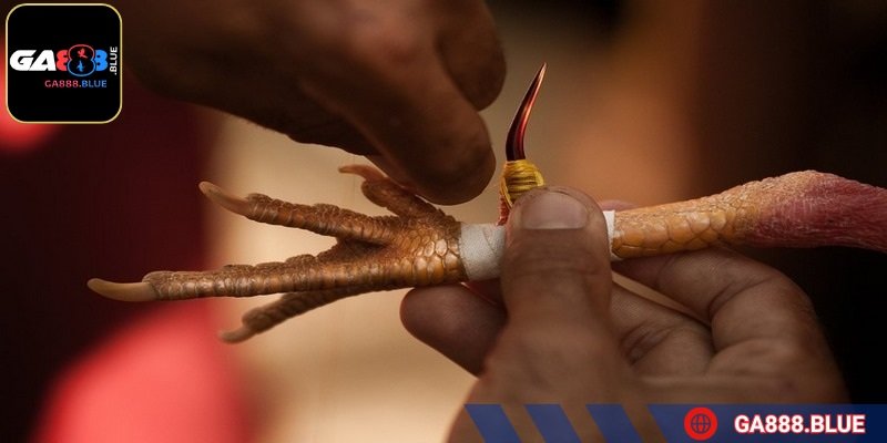 Chuẩn bị các vận dụng để tiết kiệm thời gian