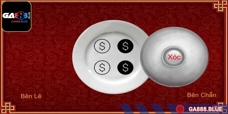 Hãy ghi lại cảm nhận và so sánh với kết quả thật