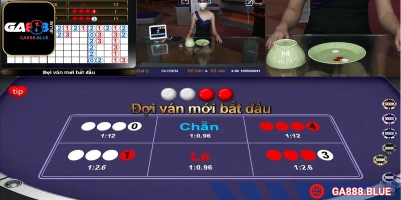 Quan sát dealer khi lắc tài xỉu