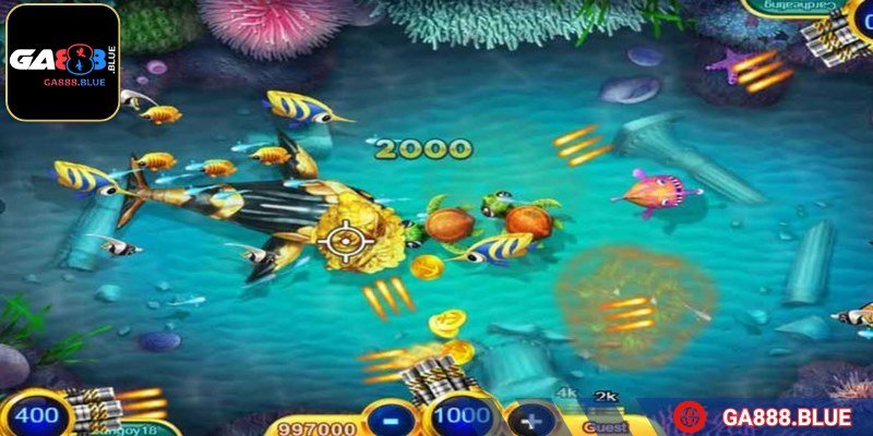 Sử dụng nhịp tiến lùi rồi tiến đạt kết quả cao