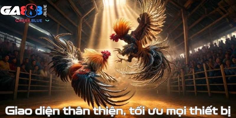 Giao diện thân thiện, tối ưu mọi thiết bị